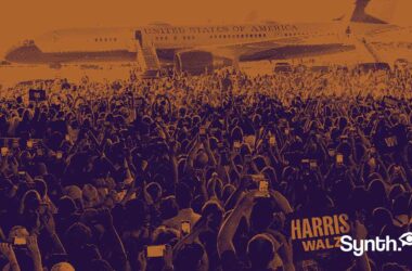 Une véritable image de la foule assistant à un meeting de Kamala Harris dénoncée comme artificiellement générée